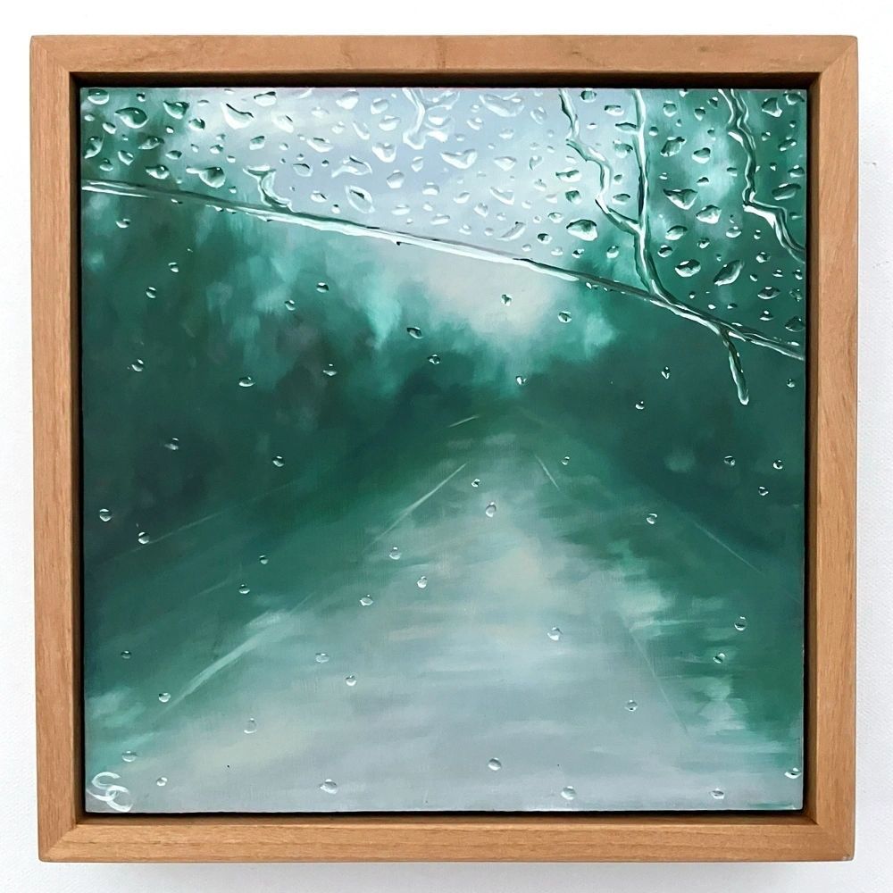 Driving Through Rain