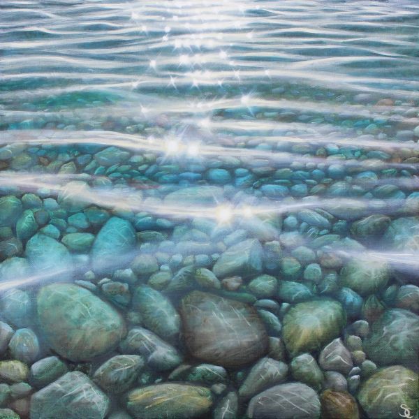Sunlit Shallows