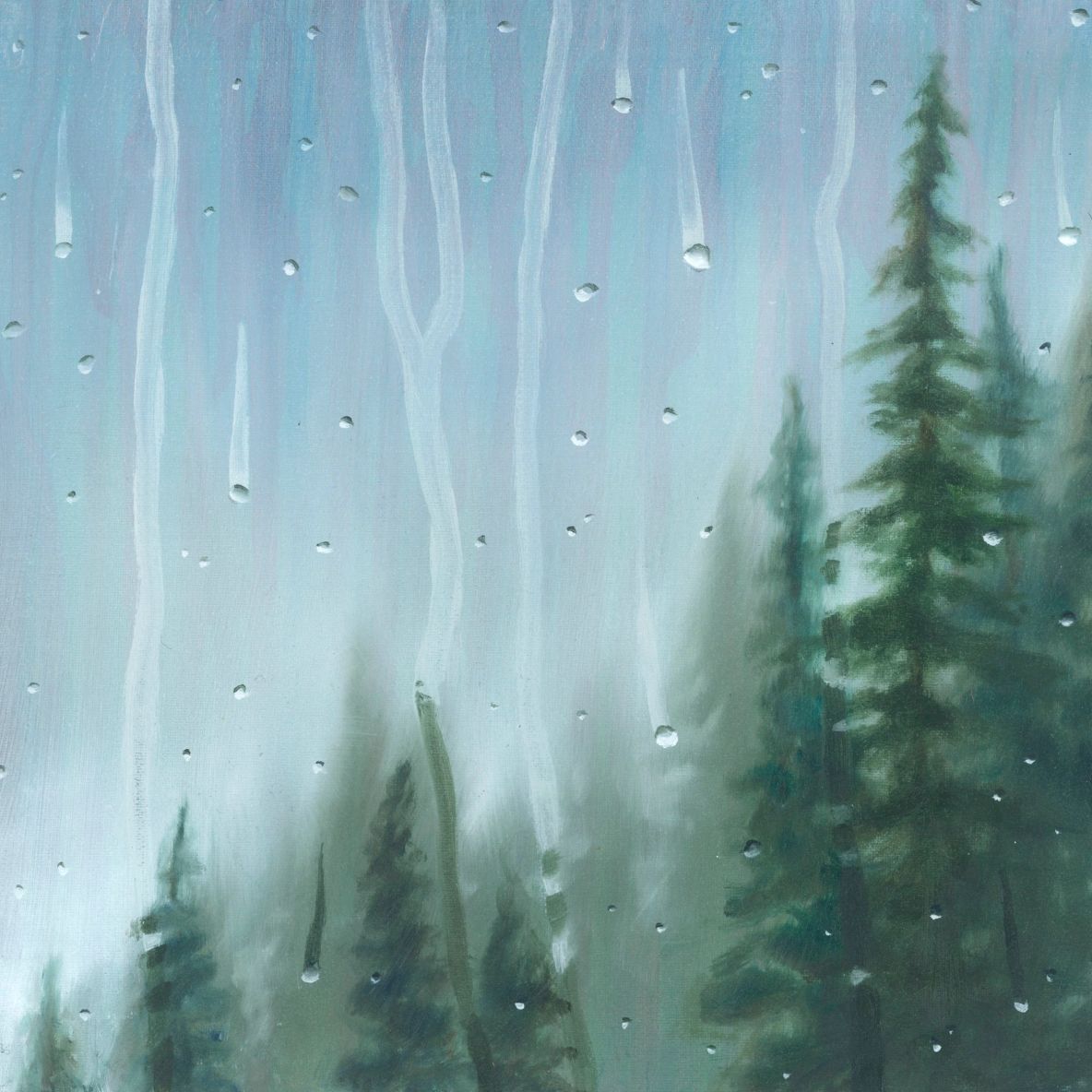 Showers in the Pines