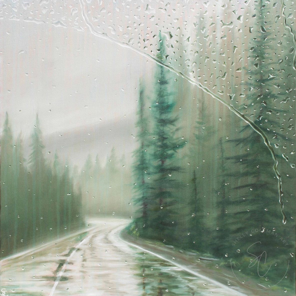 Rainy Drive through the Pines