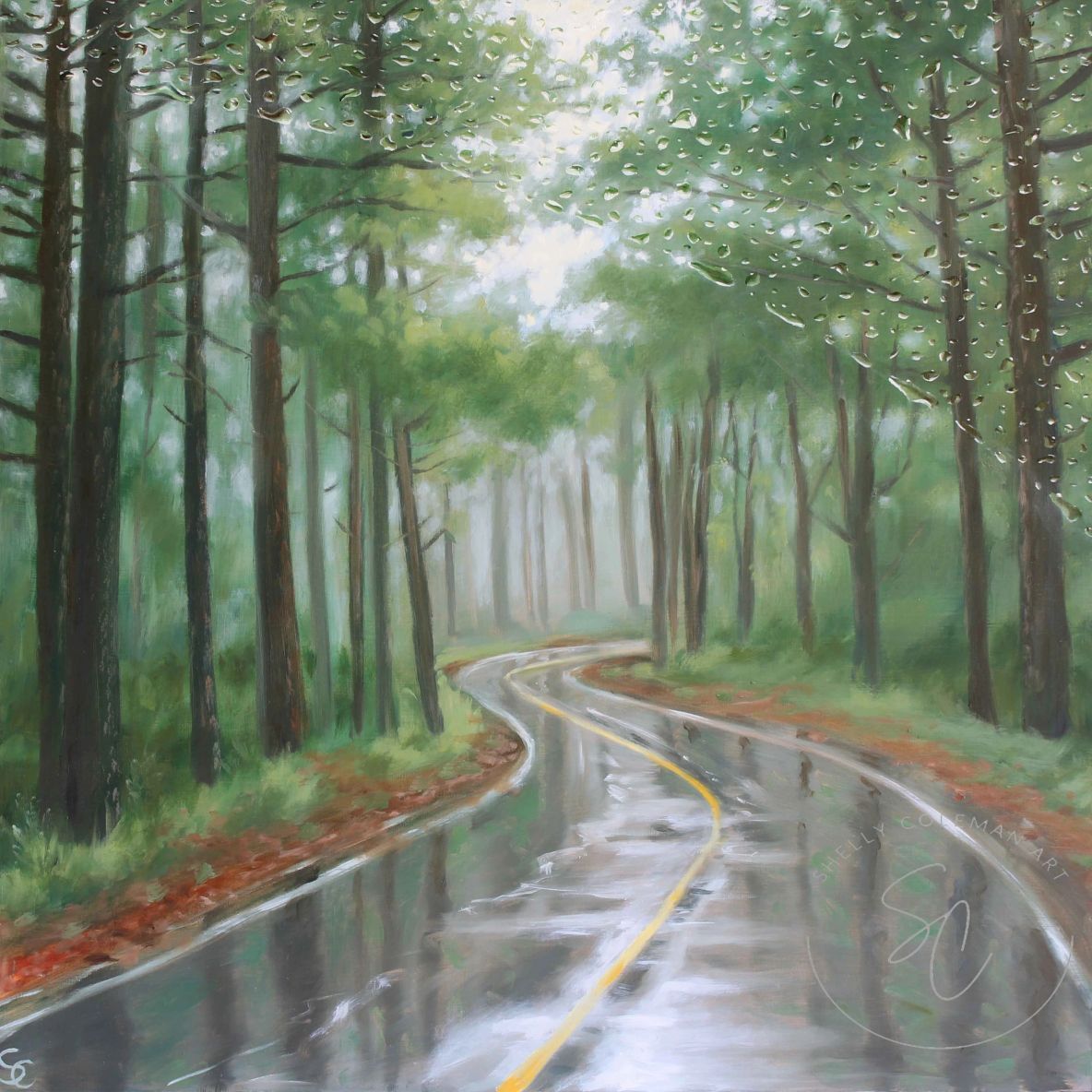 Meandering through the Forest