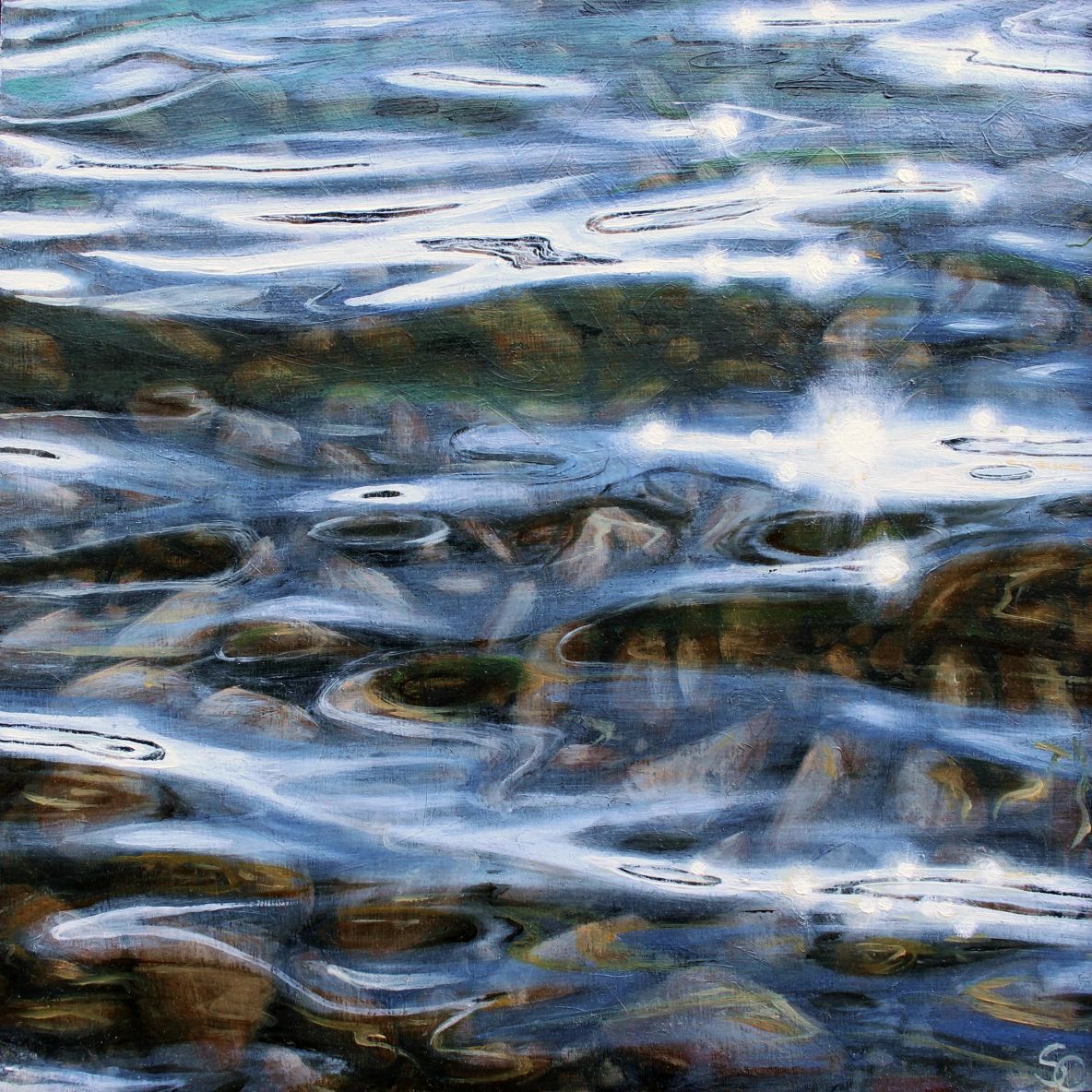 Pond During Midday
