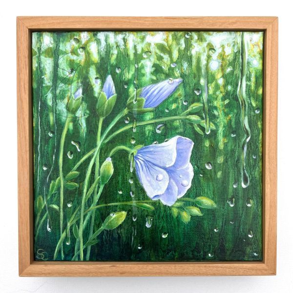 Flax During Rain