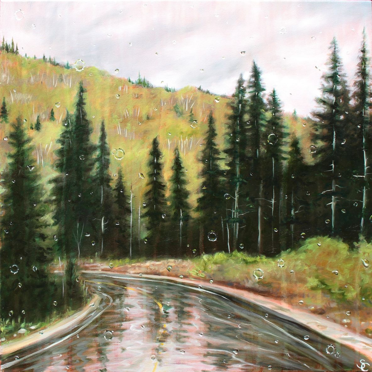 Guardsman Pass After Rain