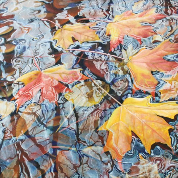 Leaves and Shadows in Fall
