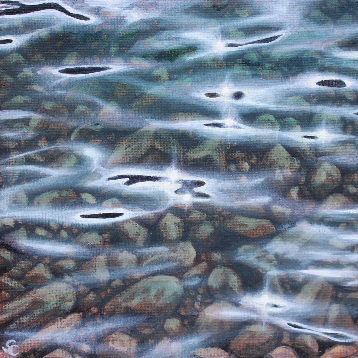 Midday Shallows