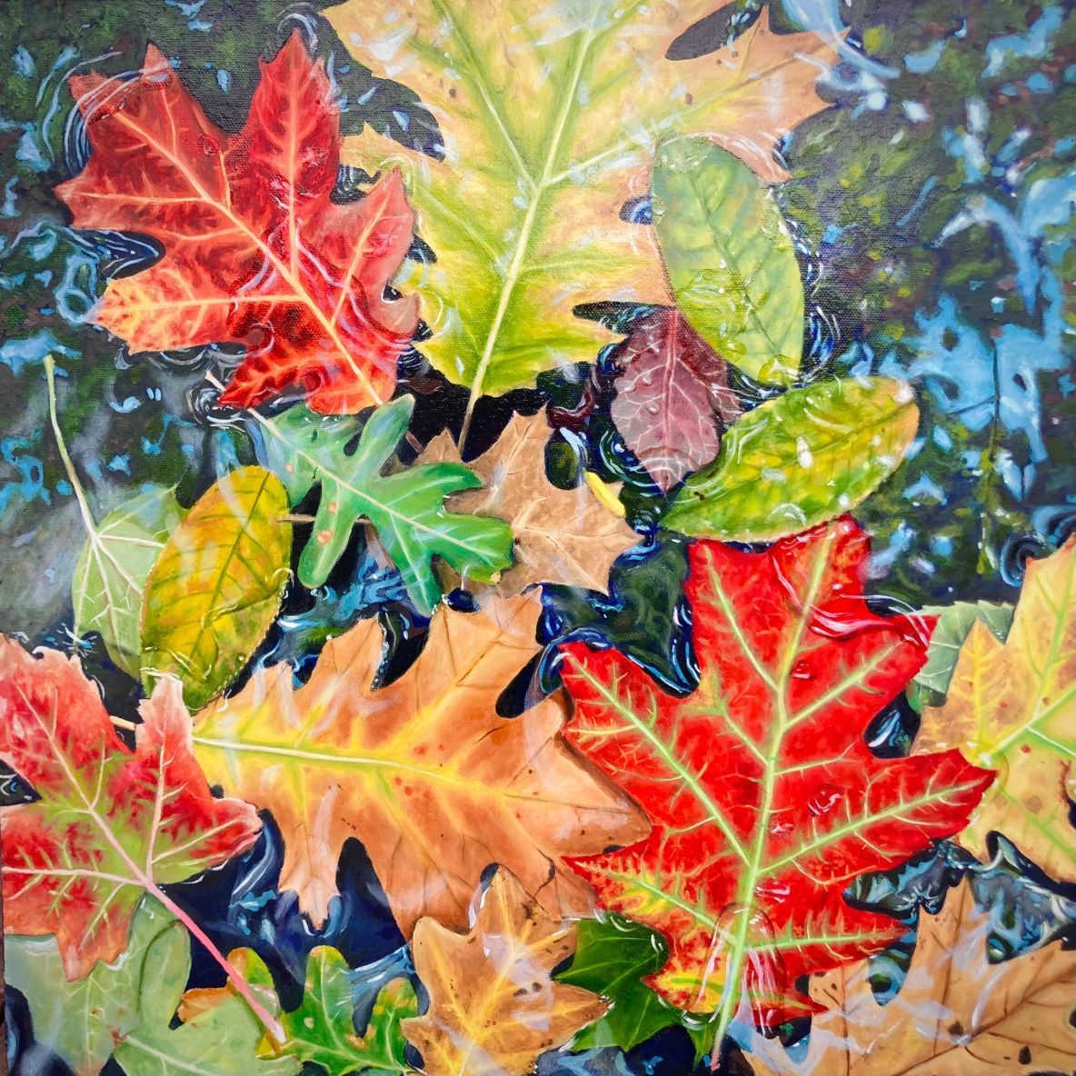 Fallen Leaves in Water