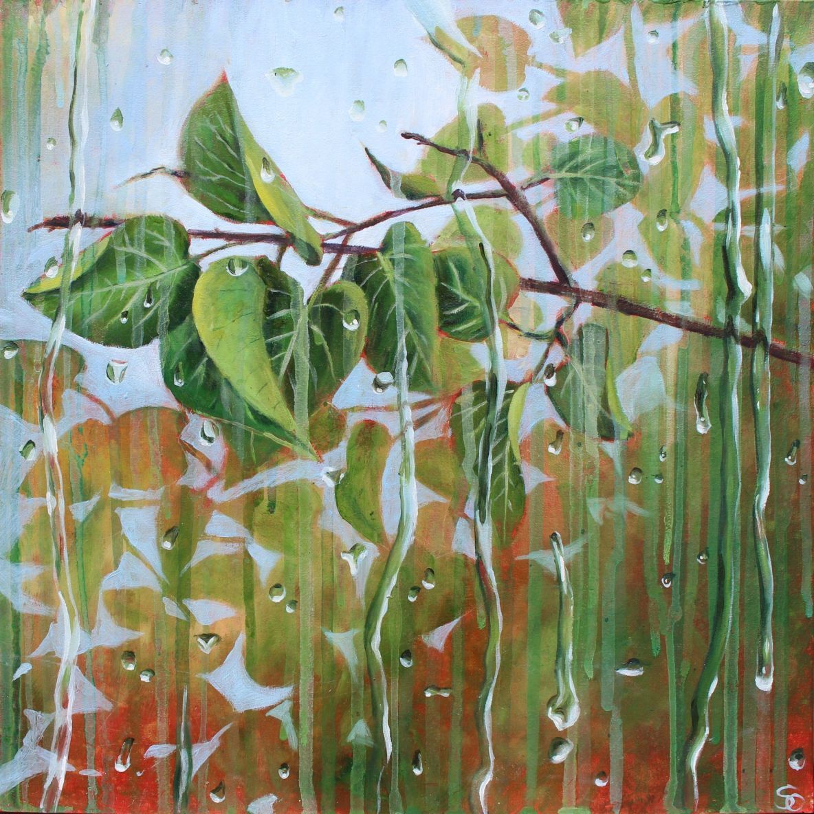 Summer Rain