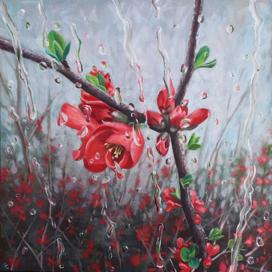 Rainy Spring Blossoms