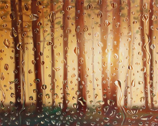 Sunlit Rainfall