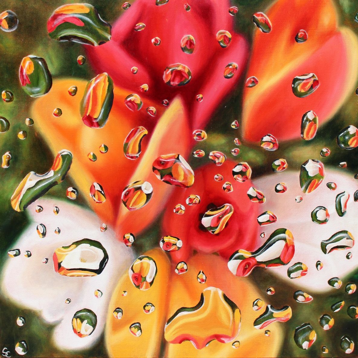 Droplets and Tulips, Oranges